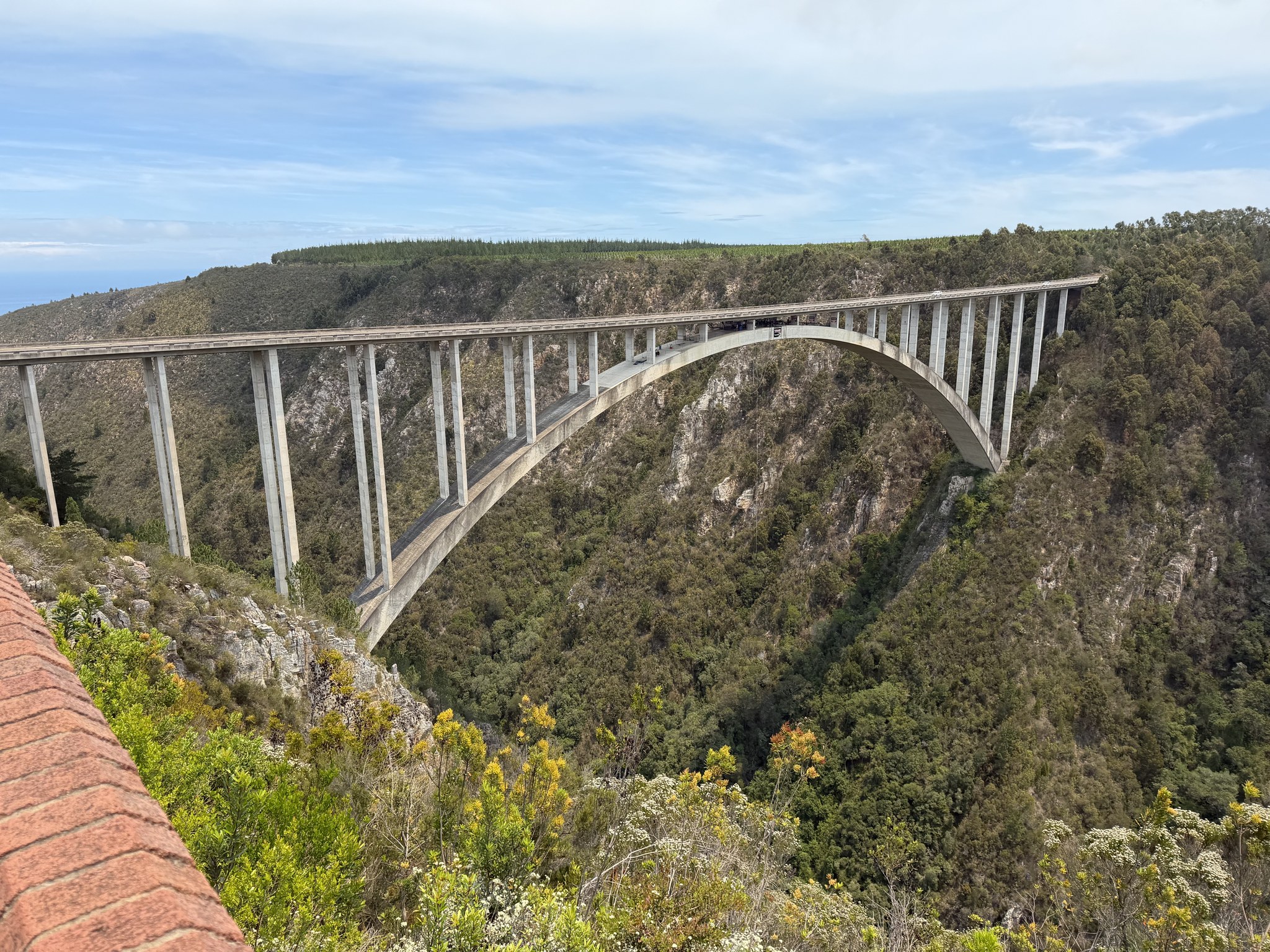 Konstrukce mostu Bloukrans Bridge se skokanskou plošinou nad zelenou soutěskou