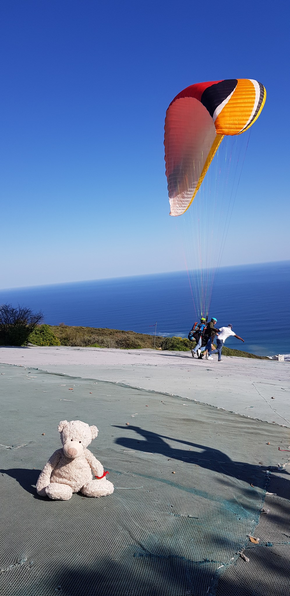 Paragliding ze Signal Hill