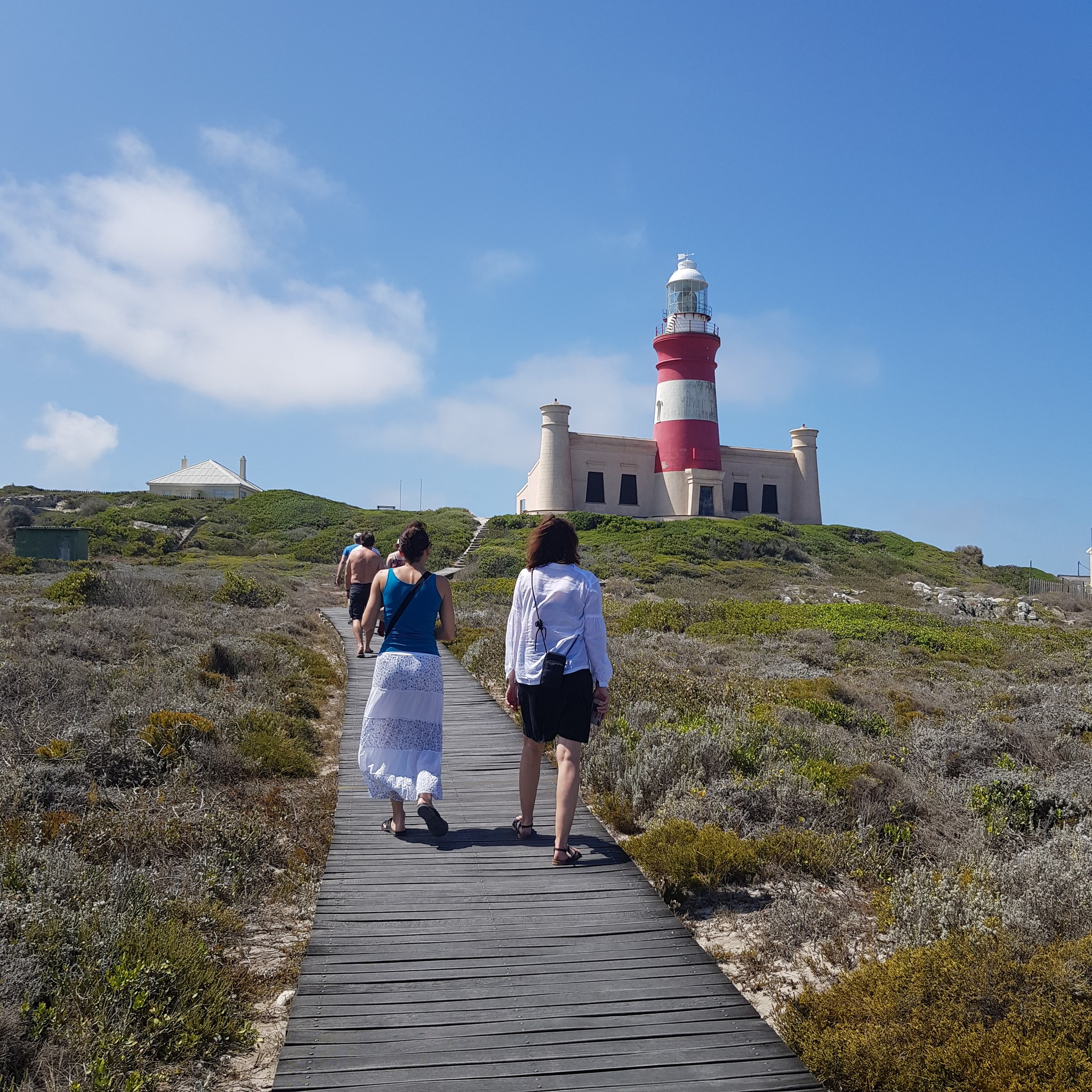 Mys Agulhas