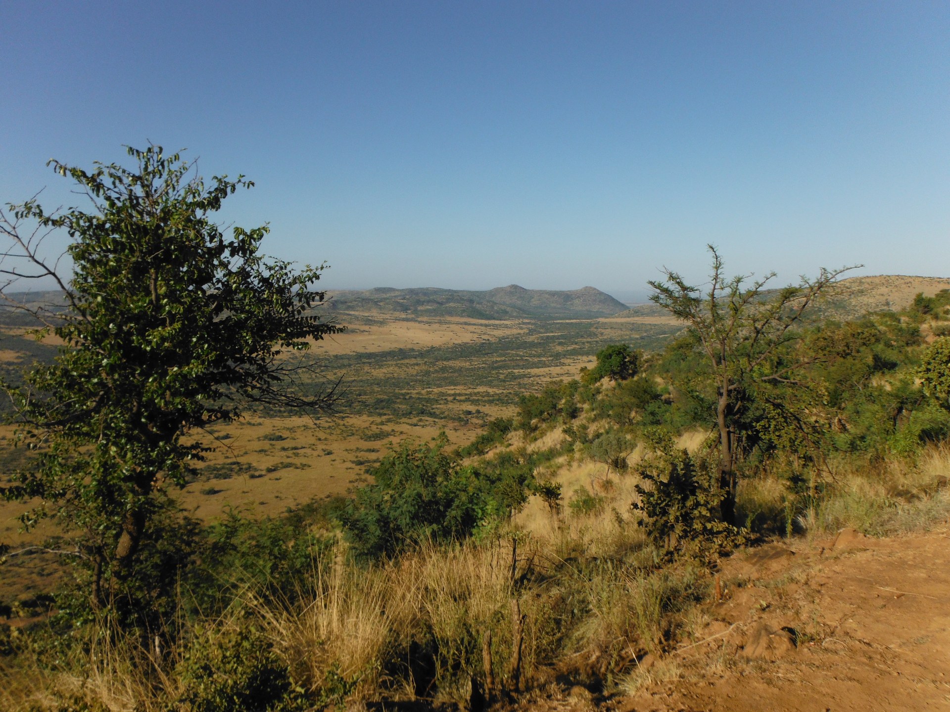 Krajina v Pilanesberg National Park, Jižní Afrika.